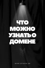 Что можно узнать о домене?